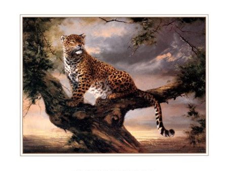 Leopard in Tree For Sale