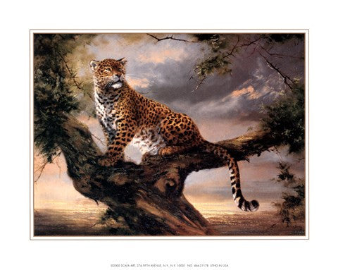 Leopard in Tree For Sale