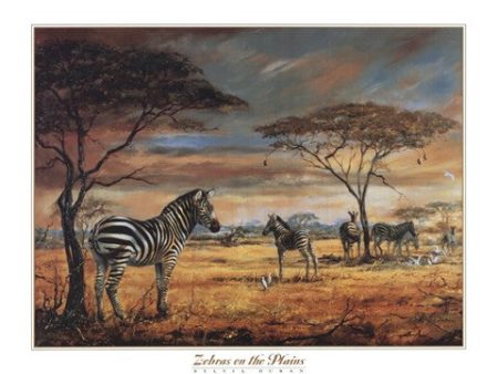 Zebras on the Plains Sale