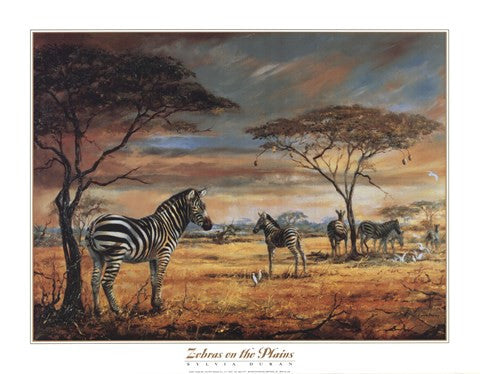 Zebras on the Plains Sale