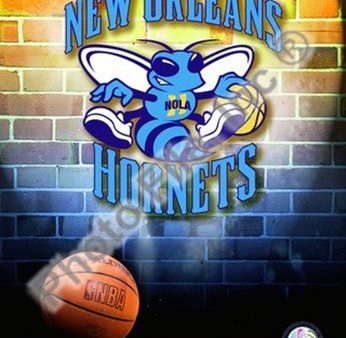 2009 New Orleans Hornets Team Logo Supply