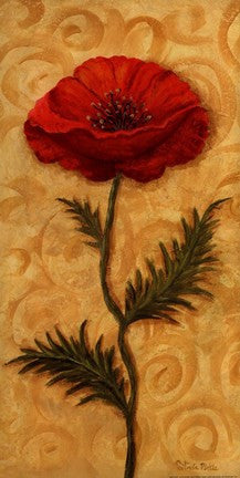 Red Poppy For Sale