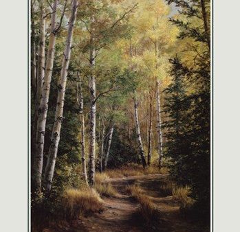 Woodland Path For Sale