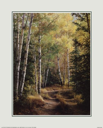 Woodland Path For Sale