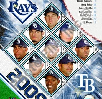 2009 Tampa Bay Rays Team Composite Online Sale