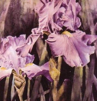 Two Purple Irises Fashion