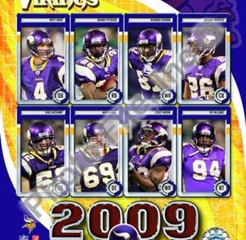 2009 Minnesota Vikings Team Composite Online Hot Sale