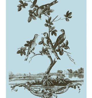 Avian Toile I Supply