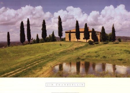 Tuscan Hillside #5 Cheap