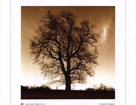 Winter Tree No. 1 Hot on Sale