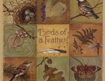 Birds of a Feather - square on Sale