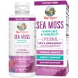 Sea Moss + Immune & Energy Liposomal Cheap